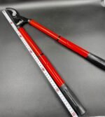 Bağ qayçısı uzanan narıncı - Image 2