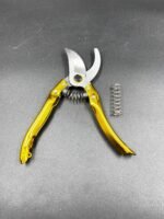 Bağ qayçısı qızılı - Image 3