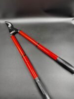 Bağ qayçısı uzanan narıncı - Image 4