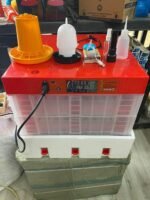 İnkubator-İlməzli qırmızı