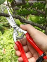 Gül qayçısı 1083