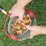 Qoz yığan orginal - Image 2