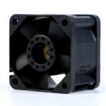 cüt fan - Image 12